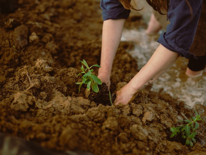 Environmental Awareness