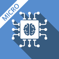 The AI development Process